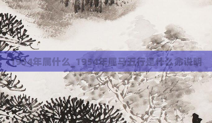 1954年属什么_1954年属马五行是什么命说明