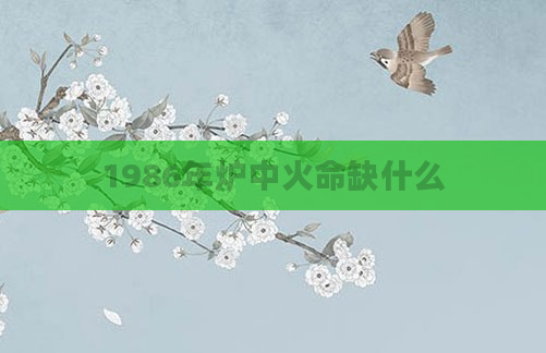 1986年炉中火命缺什么