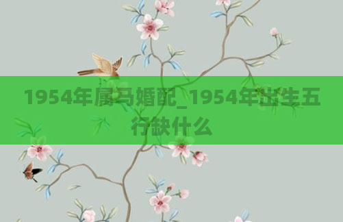 1954年属马婚配_1954年出生五行缺什么