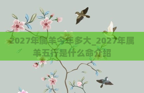 2027年属羊今年多大_2027年属羊五行是什么命介绍