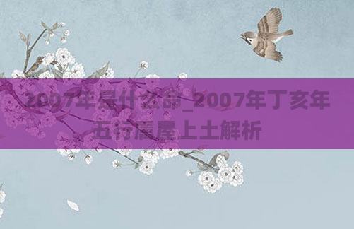 2007年是什么命_2007年丁亥年五行属屋上土解析