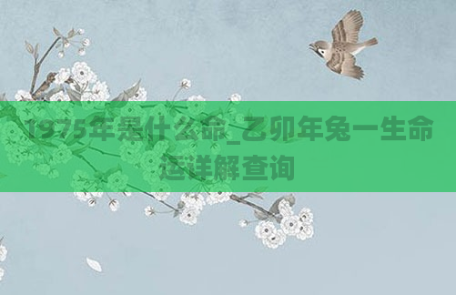 1975年是什么命_乙卯年兔一生命运详解查询