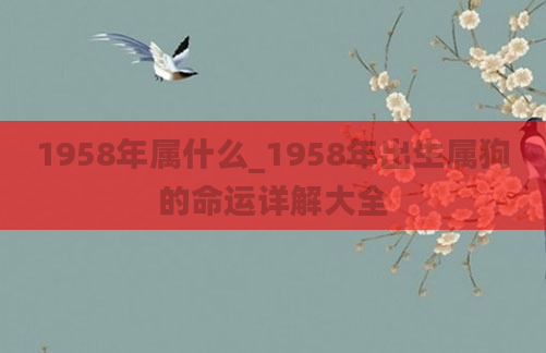 1958年属什么_1958年出生属狗的命运详解大全