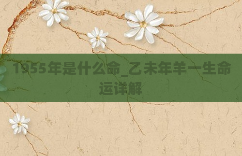 1955年是什么命_乙未年羊一生命运详解