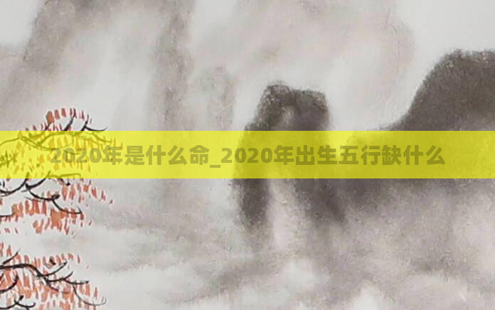 2020年是什么命_2020年出生五行缺什么