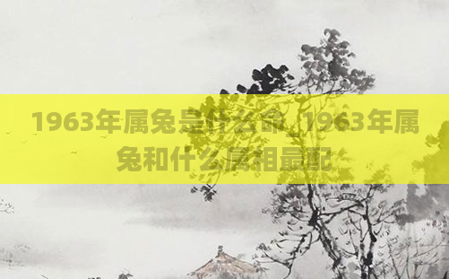 1963年属兔是什么命_1963年属兔和什么属相最配