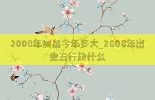2008年属鼠今年多大_2008年出生五行缺什么