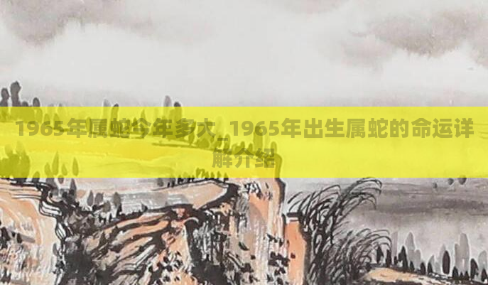 1965年属蛇今年多大_1965年出生属蛇的命运详解介绍