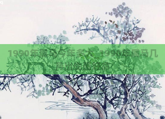 1990年属马今年多大_1990年属马几月出生最好命