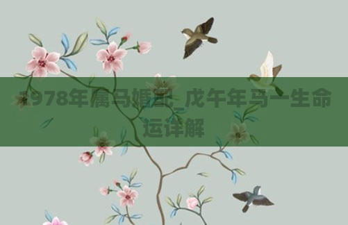1978年属马婚配_戊午年马一生命运详解