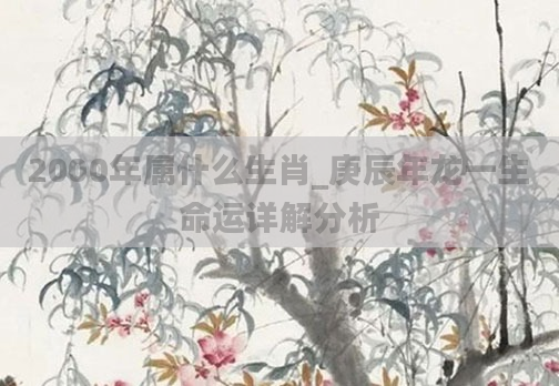 2000年属什么生肖_庚辰年龙一生命运详解分析