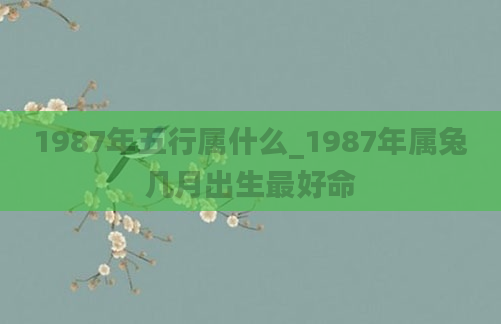 1987年五行属什么_1987年属兔几月出生最好命