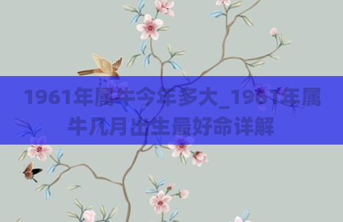 1961年属牛今年多大_1961年属牛几月出生最好命详解