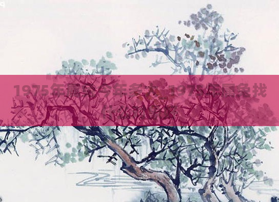 1975年属兔今年多大_1975年属兔找什么对象好