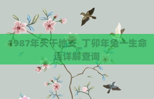 1987年天干地支_丁卯年兔一生命运详解查询
