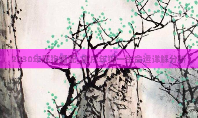 2030年属狗婚配_庚戌年狗一生命运详解分析