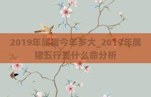2019年属猪今年多大_2019年属猪五行是什么命分析