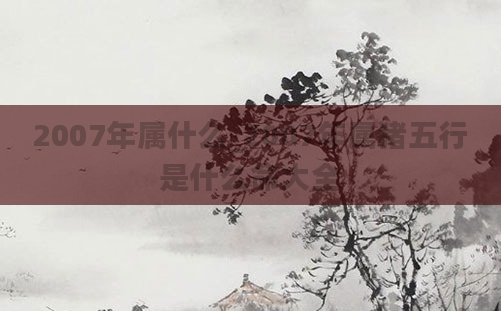 2007年属什么_2007年属猪五行是什么命大全