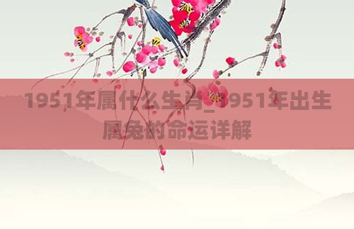 1951年属什么生肖_1951年出生属兔的命运详解