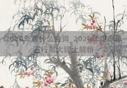 2028年属什么生肖_2028年戊申年五行属大驿土解析