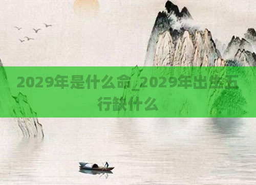 2029年是什么命_2029年出生五行缺什么