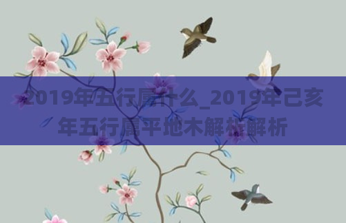 2019年五行属什么_2019年己亥年五行属平地木解析解析