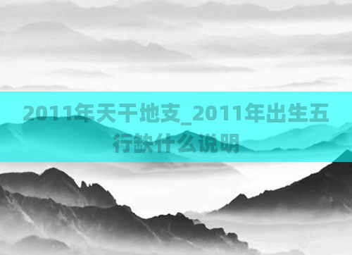 2011年天干地支_2011年出生五行缺什么说明