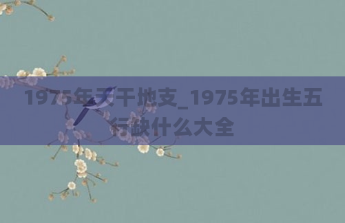 1975年天干地支_1975年出生五行缺什么大全