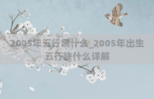 2005年五行属什么_2005年出生五行缺什么详解