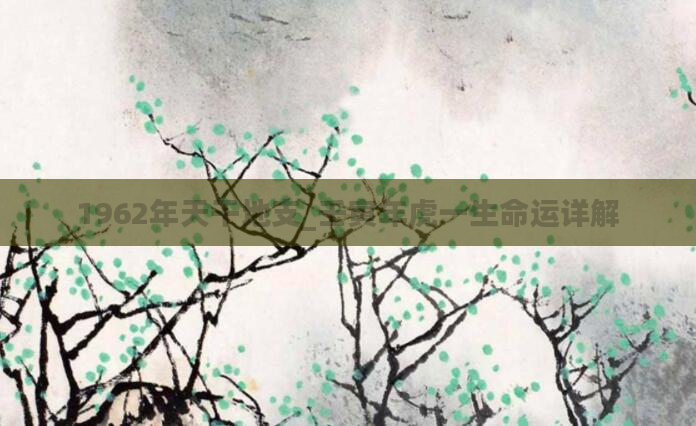 1962年天干地支_壬寅年虎一生命运详解
