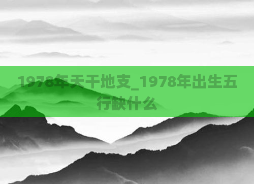1978年天干地支_1978年出生五行缺什么