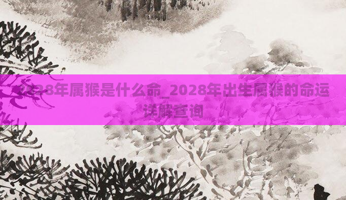 2028年属猴是什么命_2028年出生属猴的命运详解查询