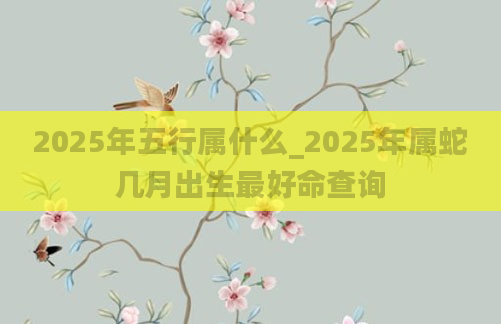 2025年五行属什么_2025年属蛇几月出生最好命查询