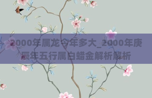 2000年属龙今年多大_2000年庚辰年五行属白蜡金解析解析
