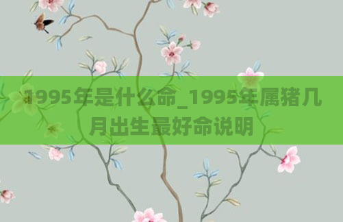 1995年是什么命_1995年属猪几月出生最好命说明