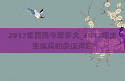2017年属鸡今年多大_2017年出生属鸡的命运详解