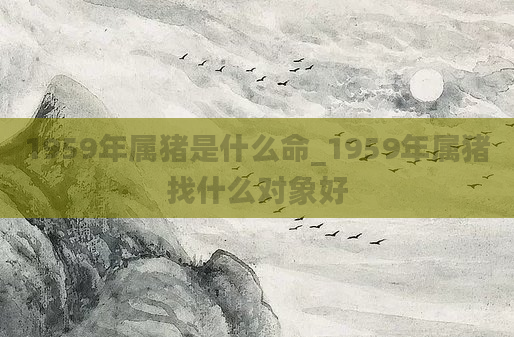 1959年属猪是什么命_1959年属猪找什么对象好