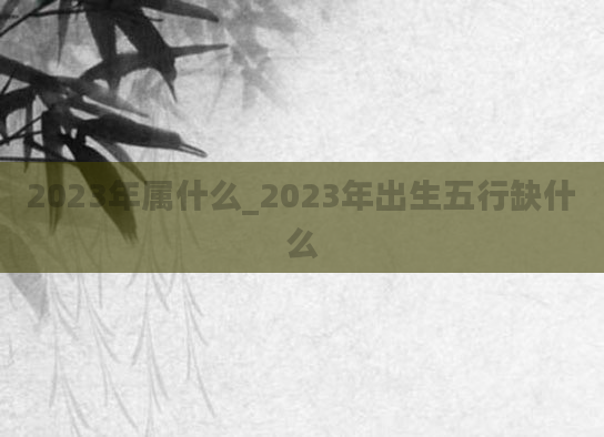 2023年属什么_2023年出生五行缺什么