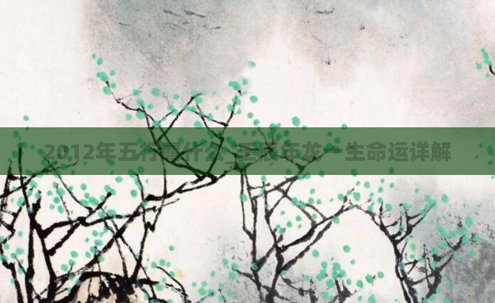 2012年五行属什么_壬辰年龙一生命运详解