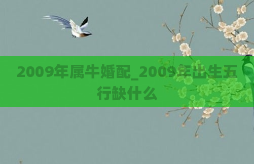 2009年属牛婚配_2009年出生五行缺什么