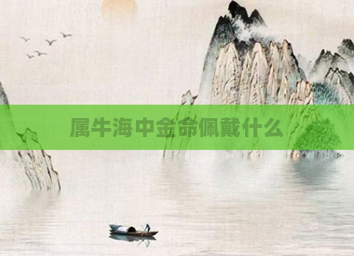 属牛海中金命佩戴什么