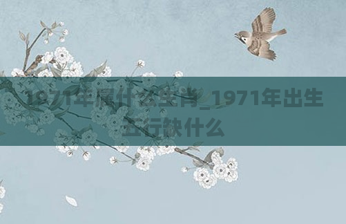 1971年属什么生肖_1971年出生五行缺什么