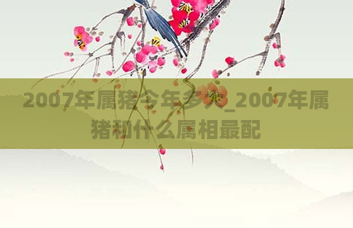 2007年属猪今年多大_2007年属猪和什么属相最配