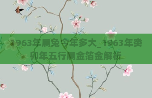 1963年属兔今年多大_1963年癸卯年五行属金箔金解析