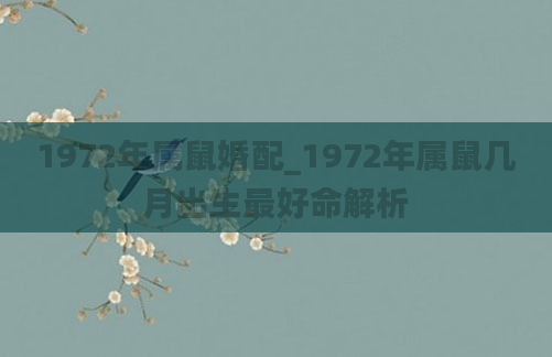 1972年属鼠婚配_1972年属鼠几月出生最好命解析