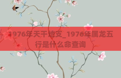 1976年天干地支_1976年属龙五行是什么命查询