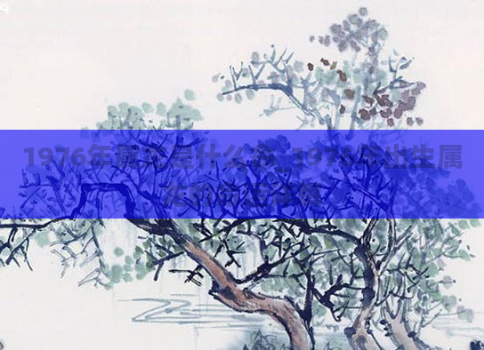 1976年属龙是什么命_1976年出生属龙的命运详解