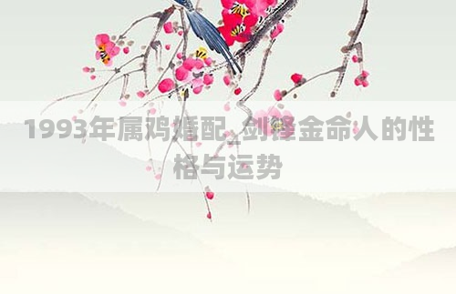 1993年属鸡婚配_剑锋金命人的性格与运势