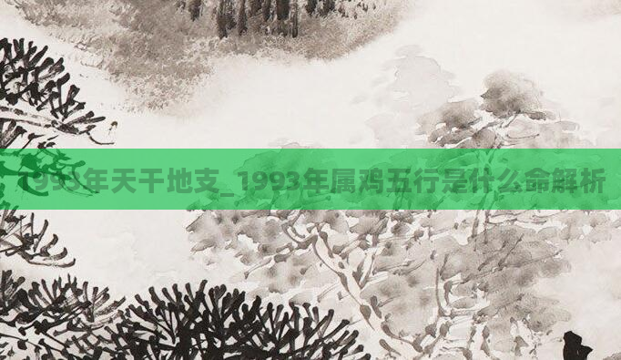 1993年天干地支_1993年属鸡五行是什么命解析