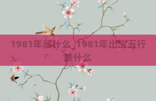 1981年属什么_1981年出生五行缺什么